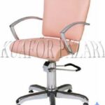 Bayan Kuaför Koltukları CBK - 793